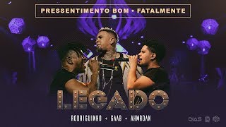 LEGADO Gaab Rodriguinho e AhMrDan  Pressentimento  Fatalmente part Livinho DVD AO VIVO [upl. by Budge]