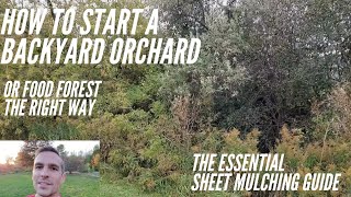 How to start a backyard orchard the right way The essential sheet mulching guide [upl. by Ajiram]