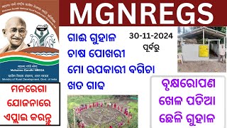 MGNREGS ଯୋଜନାରେ ଗାଈ ଗୁହାଳ ଛେଳି ଗୁହାଳ ଖେଳ ପଡିବ ମୋ ଉପକାରୀ ବଗିଚା apply କରିବା ପାଇଁ ଆସିଲା ନିର୍ଦେଶ [upl. by Leuneb264]