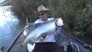 Sluggo Salmon Bending Rods On The Chetco River [upl. by Chiquita359]