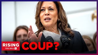 Michael Shellenberger Democrats SUBVERT Democracy Annointing Kamala Harris As Nominee [upl. by Norm]