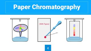 Paper Chromatography with animation [upl. by Elnora]