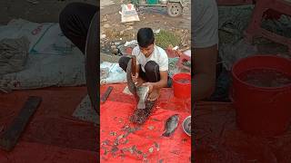 Amazing big Tilapia fish super fast cutting speed fishcuttingskills bigfish shorts fishcutting [upl. by Copeland998]