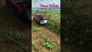 Power Weeder power tiller Mini tractor Plow machine satisfying agriculture shorts [upl. by Nicole]