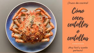 CÓMO COCER CENTOLLO O CENTOLLA🦀 Todos los TRUCOS para que te quede PERFECTO👩‍🍳 [upl. by Ssegrub]