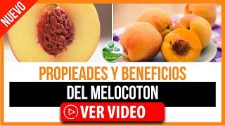 BENEFICIOS Y PROPIEDADES DEL MELOCOTON [upl. by Ahsiemat]