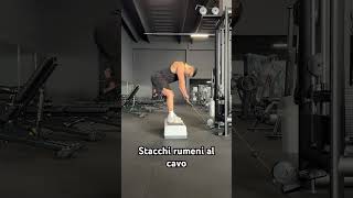 Stacchi rumeni al cavo con asta legsworkout gymexercises gymworkout gym bodybuilding [upl. by Shelden505]