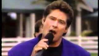 David Hasselhoff  Fallin in Love Live at Sea World 1995 [upl. by Akilat518]