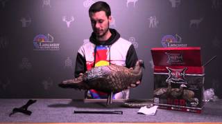 Zink AvianX LCD Breeder Hen Turkey Decoy Review at LancasterArcherycom [upl. by Greeson]