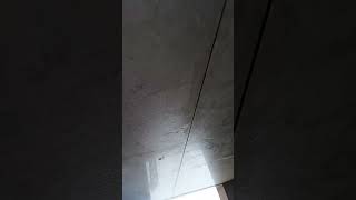 tilemaster aurangabad home viralvideo [upl. by Dnomse]