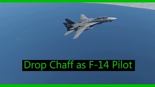 DCS World F14 Tomcat How to use chaff as pilot [upl. by Baxter14]