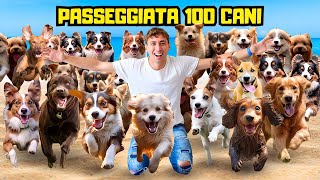 PORTO A SPASSO 100 CANI [upl. by Ikey]