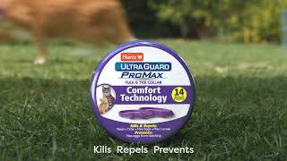 Hartz  UltraGuard ProMax Flea amp Tick Collar  TheTalk  Cat  06s [upl. by Evanthe]