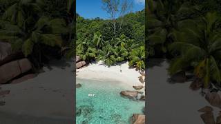 Der wohl schönste Ort der Welt😍🌴🐢🇸🇨 seychellen ladigue praslin anselazio [upl. by Hcaz844]