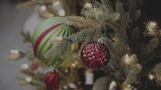 Stanford students faculty and staff celebrate the 2017 holidays [upl. by Airoled960]