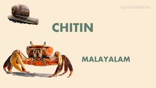 CHITIN POLYSACCHARIDES  CARBOHYDRATES  BIOCHEMISTRY  MALAYALAM [upl. by Ettennod]