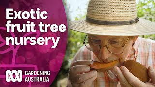 We Taste Exotic Fruits at a SubTropical Nursery  Discovery  Gardening Australia [upl. by John]