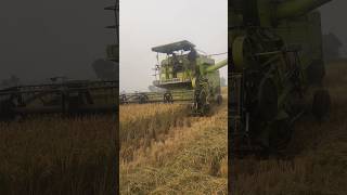 Amazing look 😍 Harvester machine 😱 combine harvester automobile diesel feed tech shorts [upl. by Ecyac]