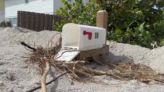 Manasota Key digs out from piles of sand left by Helenes storm surge [upl. by Gerita150]