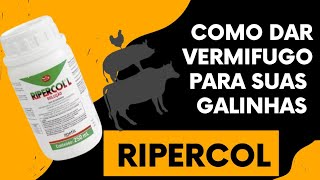 COMO DAR VERMIFUGO PARA AS GALINHAS RIPERCOL [upl. by Nbi]