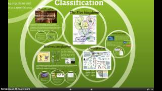 Classification [upl. by Eitsyrhc]