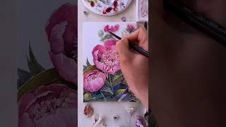 watercolor aesthetic peony painting artshorts sketches watercolorart watercolorpainting artists [upl. by Jewel]