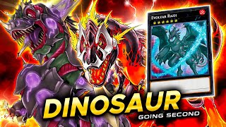 DINOSAUR Deck quotPUREquot 🦖 Going Second Ver  Post Duelist Nexus [upl. by Eetnuahs]