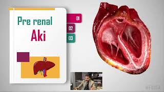 Acute Kidney Injury AKI  prerenal intrarenal and postrenal causes and pathophysiology [upl. by Leahcimrej]