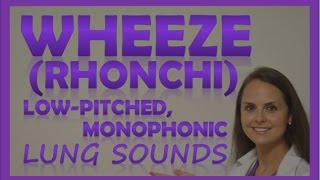 Wheezes Lung Sounds Monophonic Rhonchi Breath Sounds Abnormal Sonorous Wheeze [upl. by Mathis]