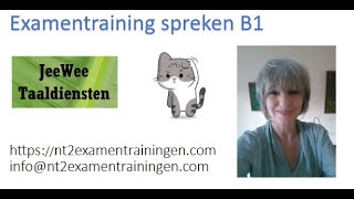 Oefenvideo Staatsexamen spreken B1 [upl. by Dralliw988]