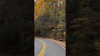 Brasstown bald highest peak in Georgia state USA brasstownbaldfallcolors sonyrumale shorts [upl. by Nnaael]