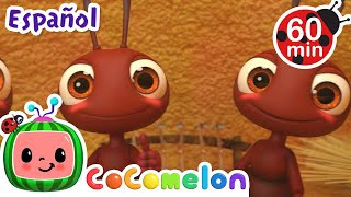 Las hormigas y el saltamontes🐜 Canciones Infantiles Caricaturas para bebés  CoComelon en Español [upl. by Ecnav]