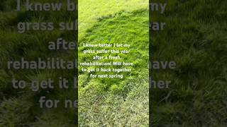 Tall Fescue Overseeding easyonthegreen lawncare [upl. by Ahseetal]