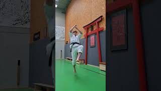 Martial Art Warm up Multiple excersices compilation Part 8 by Dennis Kempo martialarts workout [upl. by Lester]