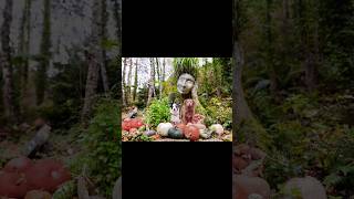 Eden Project in Autumn Full video of UK rainforest in description [upl. by Etsirk]