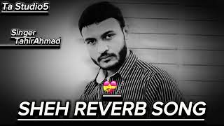 Sheh  Tahir Ahmad  Official Reverb   Ellde Fazilka Latest Punjabi Song2024 [upl. by Tibbetts]