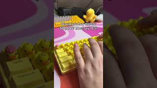 the BEST budget keyboard that QUACKS [upl. by Ariadne]