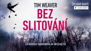 Tim Weaver  Bez slitování  Audiokniha [upl. by Lux]