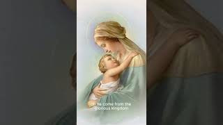 The Virgin Mary had a baby boy catholicmusic ourladyofguadalupe blessedmothermary catholichymn [upl. by Gonzalo]