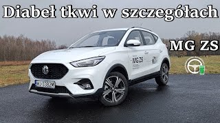 MG ZS  Diabeł tkwi w szczegółach [upl. by Arihas]