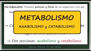 METABOLISMO Diferencia Anabolismo y Catabolismo Autótrofos y Heterótrofos Biología Bachillerato [upl. by Kesley]