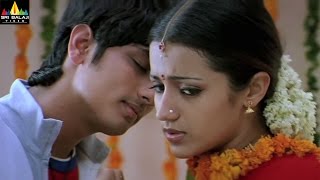 Nuvvostanante Nenoddantana Movie Scenes  Siddharth and Trisha Scene  Sri Balaji Video [upl. by Eyak]