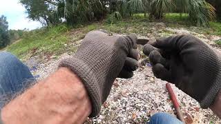 DeLand Midden Fill Indian Pottery Hunt history explorer volusiacounty florida [upl. by Stillas]