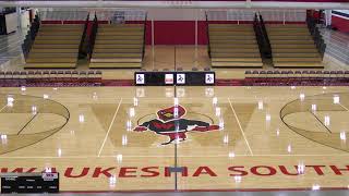 Waukesha South High vs Eisenhower High School Boys Sectional Semifinal Volleyball [upl. by Nojid]