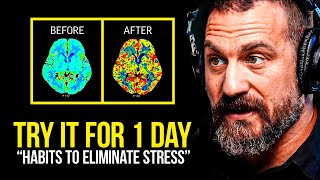 NEUROSCIENTIST You Will NEVER Be Stressed Again  Andrew Huberman [upl. by Rehpotsirhc]