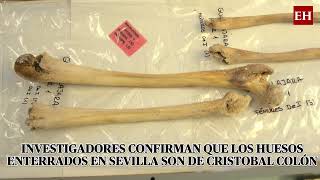 Investigadores confirman que los huesos enterrados en Sevilla son de Cristóbal Colón [upl. by Orlosky]