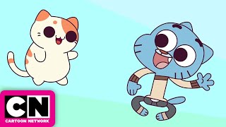 Kleptocats Theory [upl. by Nave]