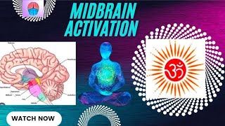 OM Midbrain Activation Jorhat Centre  Super Result in short period  Arnab amp Gauranga [upl. by Aihseuqal]