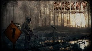 STALKER MISERY Кровососов больше нет 7 [upl. by Anatniuq298]