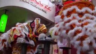 Chinese New Year Tiger Dance 舞虎 [upl. by Aurore]